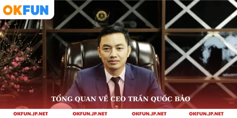 Tổng quan về ceo Trần Quốc Bảo